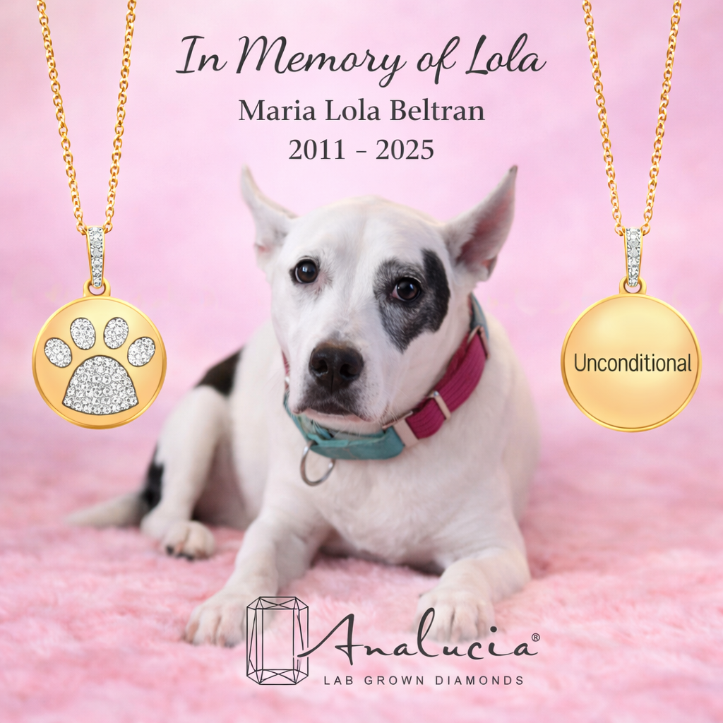 🐾 The "Unconditional" - Special Edition Pendant
