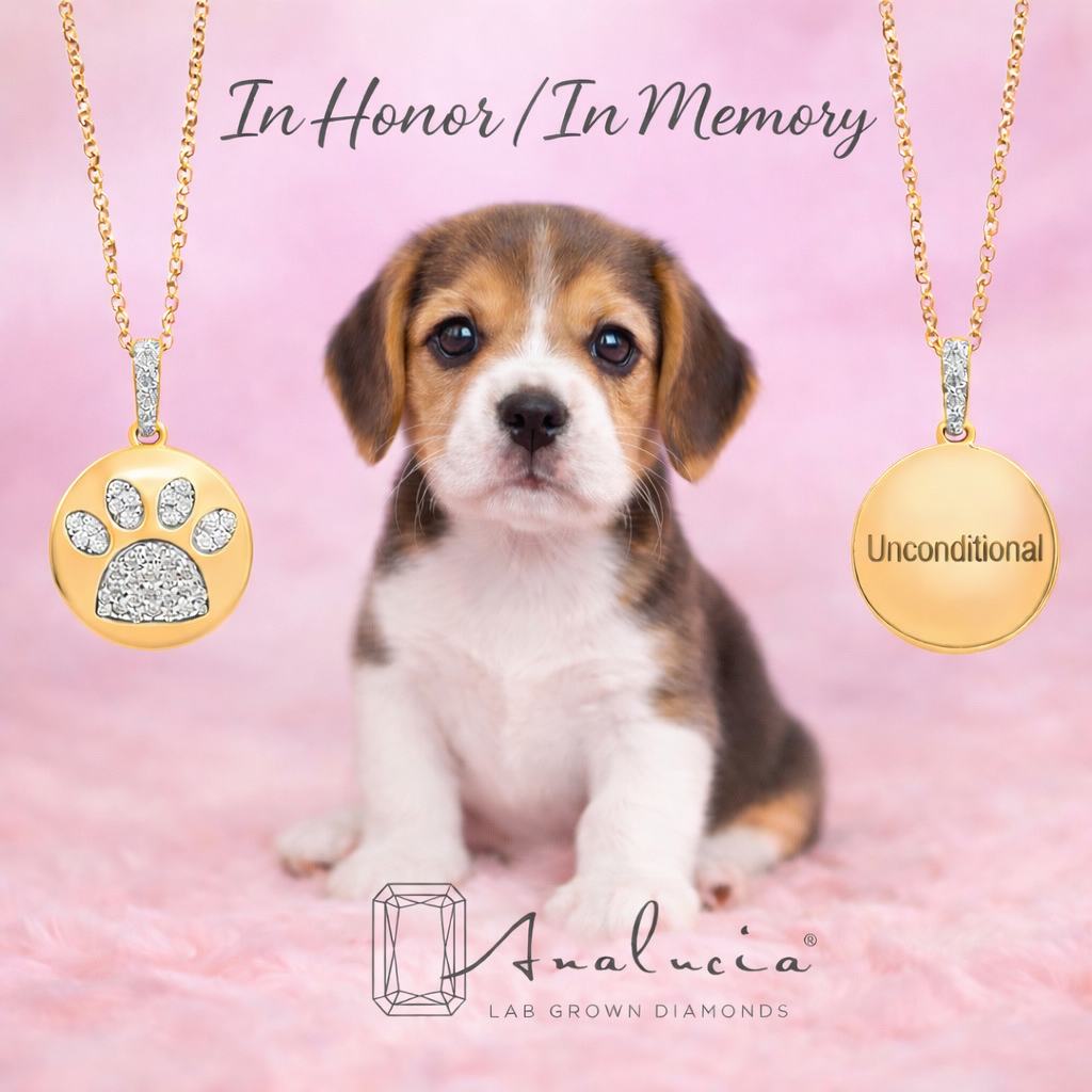🐾 The "Unconditional" - Special Edition Pendant