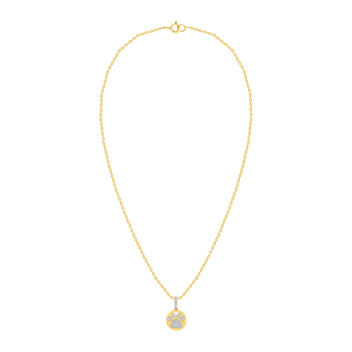 🐾 The "Unconditional" - Special Edition Pendant