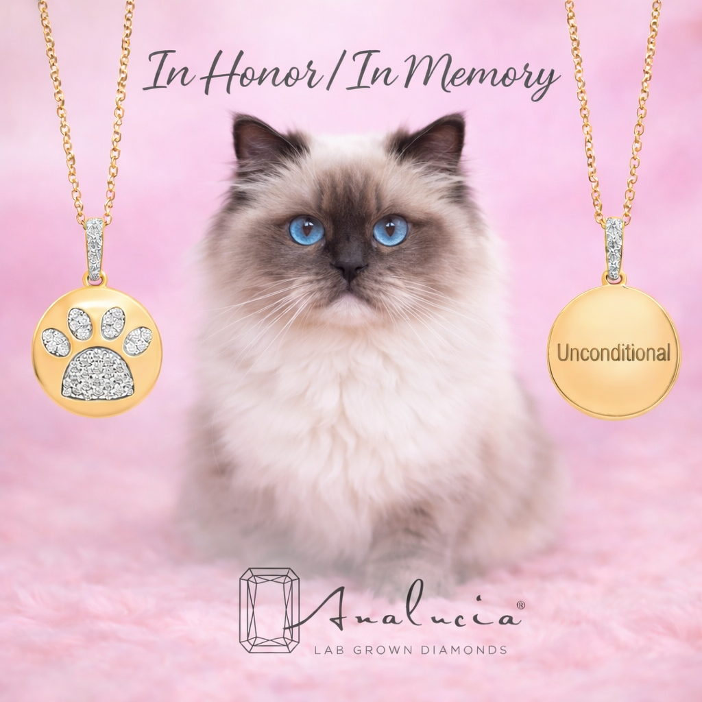 🐾 The "Unconditional" - Special Edition Pendant